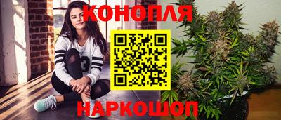 крисы Тверь