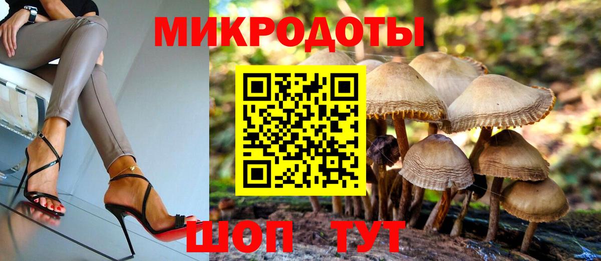 Галлюциногенные грибы Psilocybine cubensis Новоалександровск