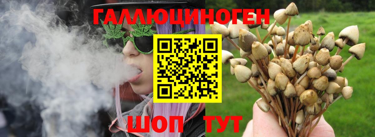 Новоалександровск  Галлюциногенные грибы GOLDEN TEACHER  Псилоцибиновые грибы мицелий  Вход с VPN 